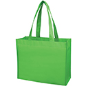 laminated shopping bag