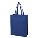 large laminated bag