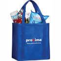 small reusable grocery tote